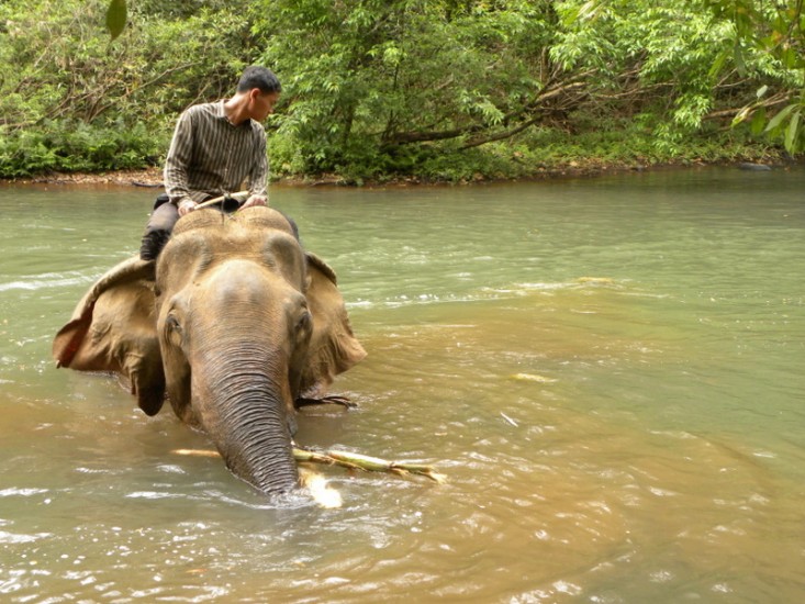 Mondulkiri