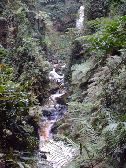 Rwanda