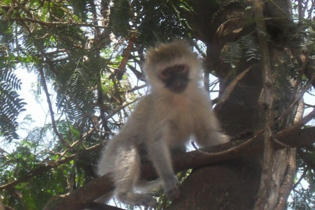 Rwanda