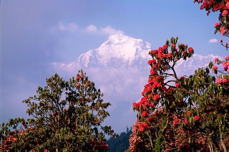 nepal_annapurna
