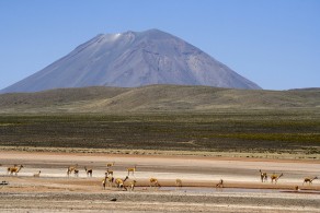 Reserva Aguada Blanca Y Salinas
