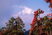 Annapurna
