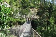 Foresta