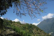 Himalaya