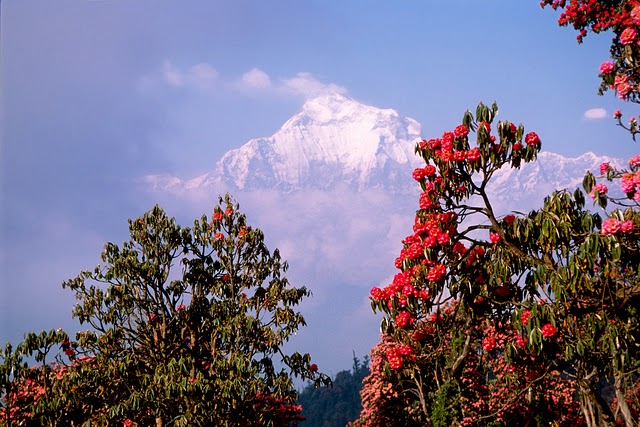 Nepal