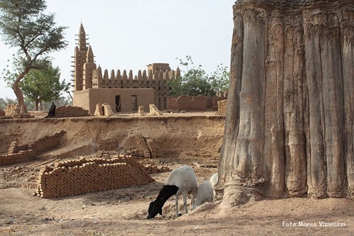 MALI/mali_pays dogon.jpg