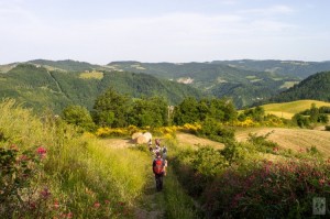 Tappa Bologna – Val di Zena (Appennino bolognese)