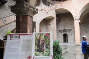 All'ingresso di Palazzo Re Enzo