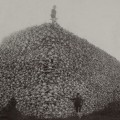 Nella foto, scattata nel 1870, una pila di teschi di bisonte, pronti ad essere trattati per la trasformazione in colla e fertilizzante. Nella foto, scattata nel 1870, una pila di teschi di bisonte, pronti ad essere trattati per la trasformazione in colla e fertilizzante.