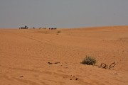 Dune di sabbia a Oursi