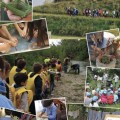 Poster pronto delle "Terre del Lamone" e dell'Associazione Culturale Civiltà delle Erbe Palustri, in attesa di riprendere gli eventi legati alla didattica e al mondo della scuola. Poster pronto delle "Terre del Lamone" e dell'Associazione Culturale Civiltà delle Erbe Palustri, in attesa di riprendere gli eventi legati alla didattica e al mondo della scuola.