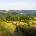 Tappa Bologna – Val di Zena (Appennino bolognese) Tappa Bologna – Val di Zena (Appennino bolognese)