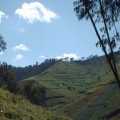 Da febbraio 2012 sono in calendario i viaggi in Rwanda Da febbraio 2012 sono in calendario i viaggi in Rwanda