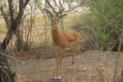 Tanzania