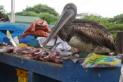 Ecuador